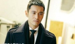 娱乐圈吃瓜黄晓明是谁啊,娱乐圈吃瓜群众心中的“黄教主”